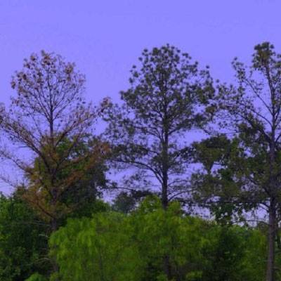 BOB·体育综合APP